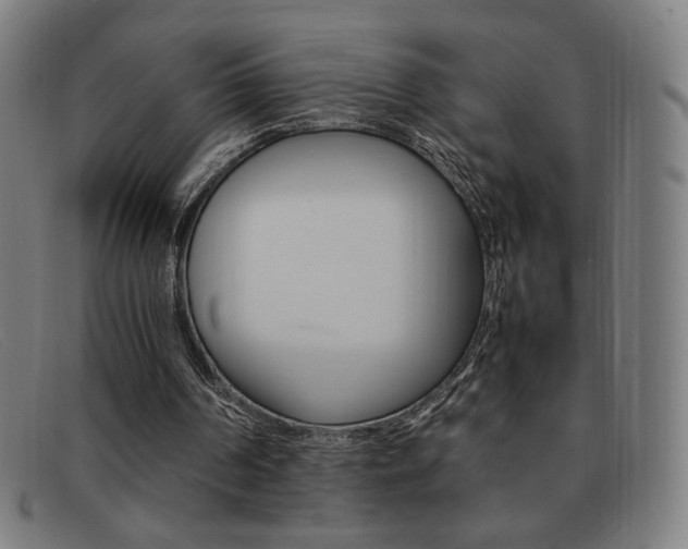X0000092100194200709121116