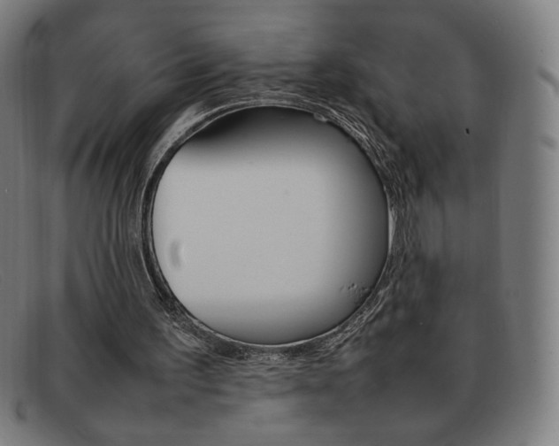X0000092100195200709121116