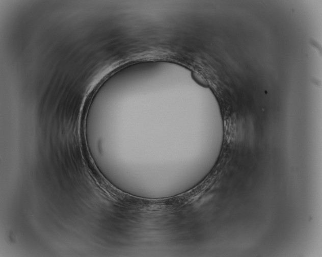 X0000092100196200709121116