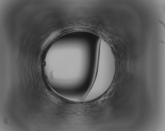 X0000092100197200709121116