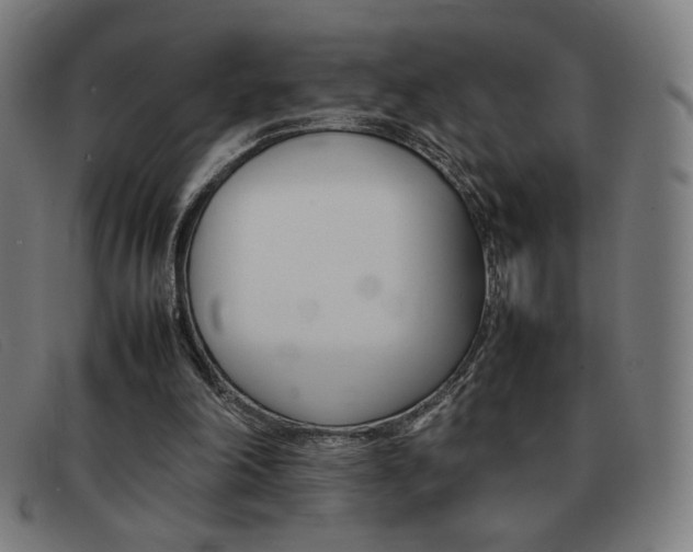X0000092100198200709121116