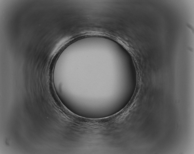X0000092100199200709121116