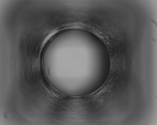 X0000092100200200709121116