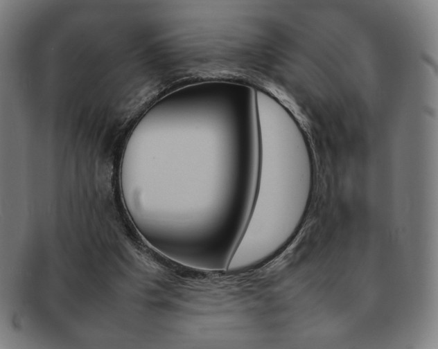 X0000092100201200709121116