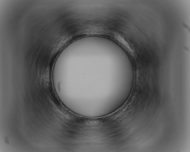 X0000092100202200709121116