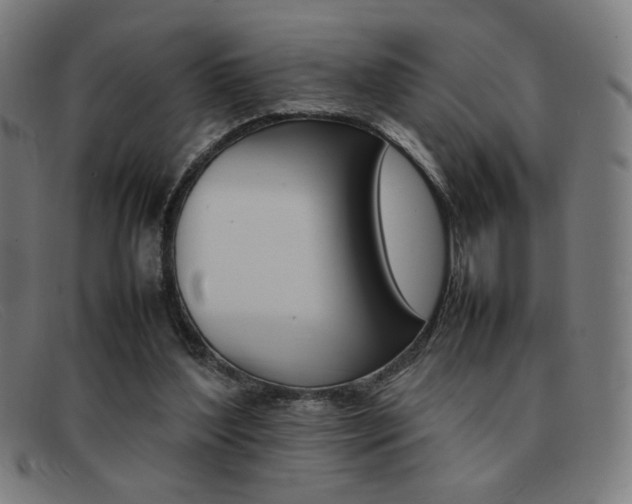 X0000092100204200709121116