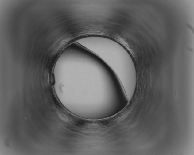 X0000092100205200709121116