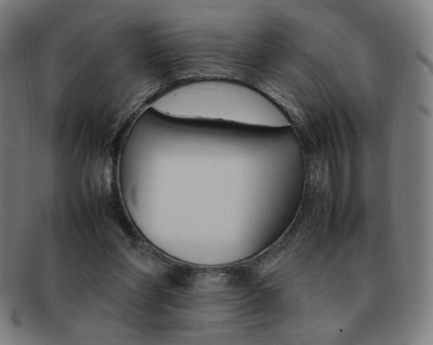 X0000092100206200709121116