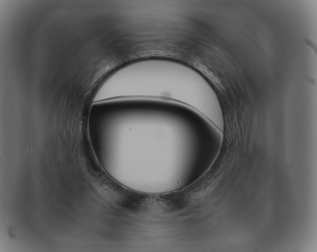 X0000092100207200709121116