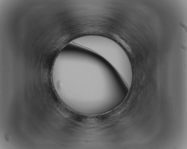 X0000092100209200709121116
