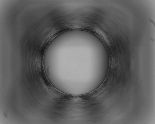 X0000092100210200709121116