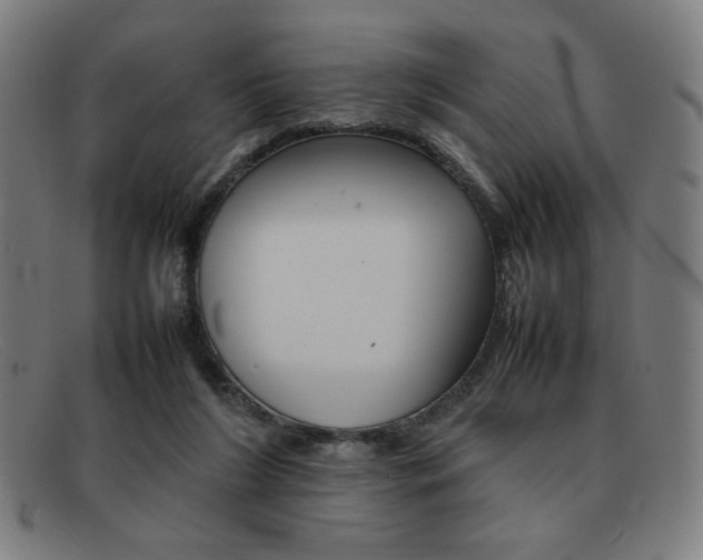 X0000092100212200709121116