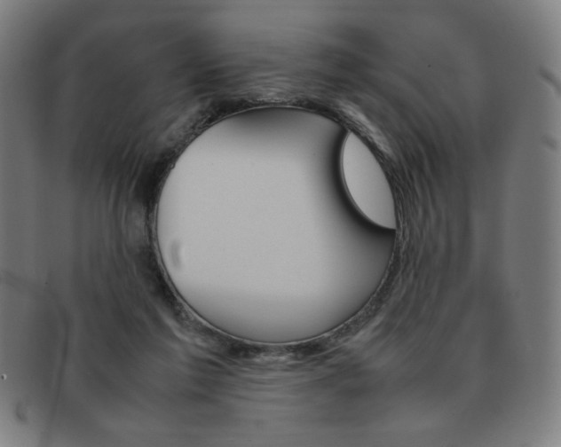 X0000092100213200709121116