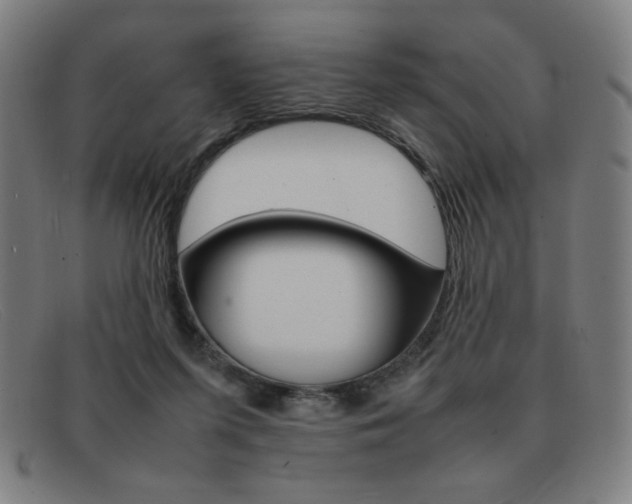 X0000092100215200709121116