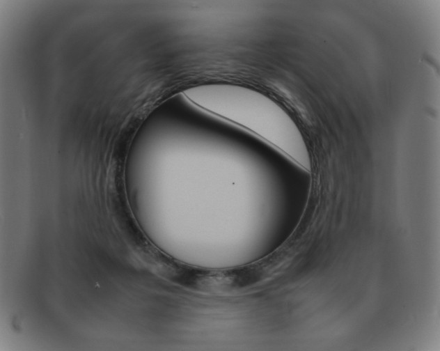 X0000092100217200709121116