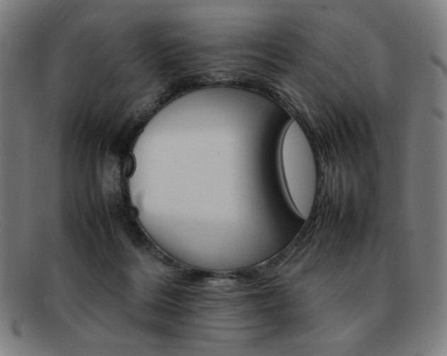 X0000092100220200709121116