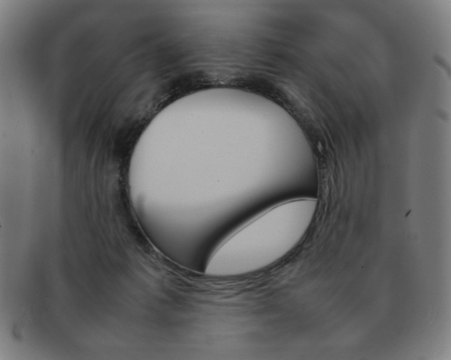 X0000092100221200709121116