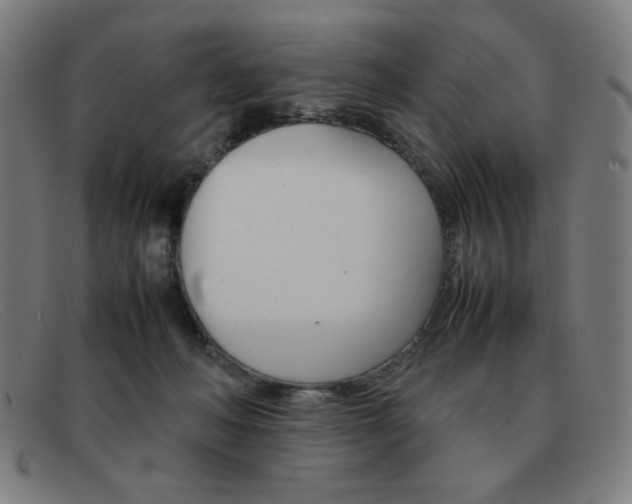 X0000092100222200709121116