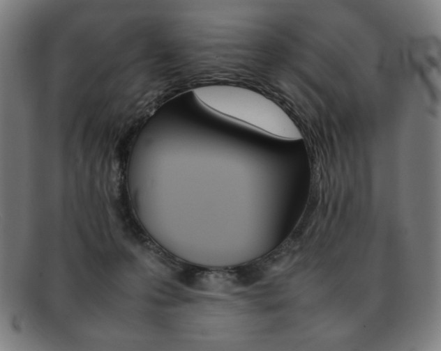 X0000092100223200709121116