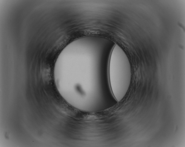 X0000092100224200709121116