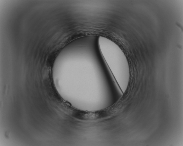 X0000092100225200709121116