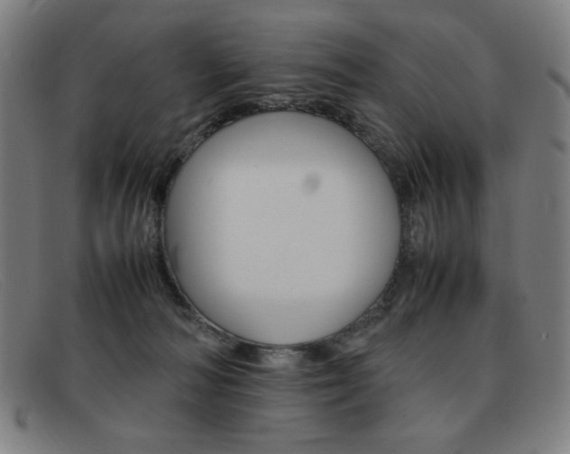 X0000092100226200709121116
