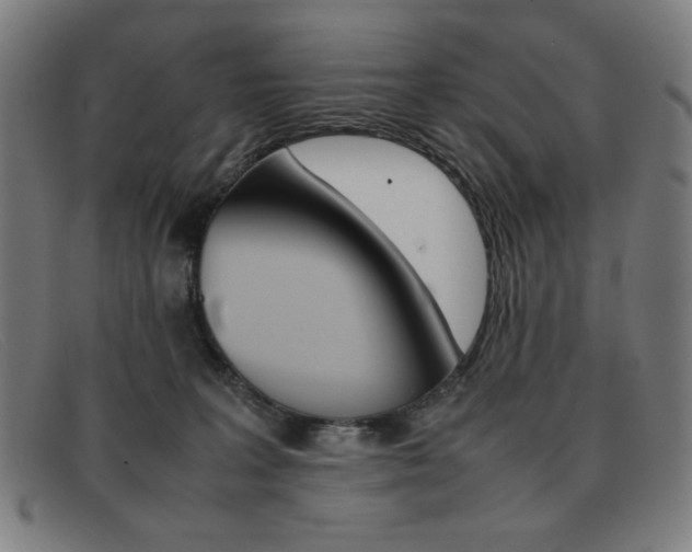 X0000092100227200709121116