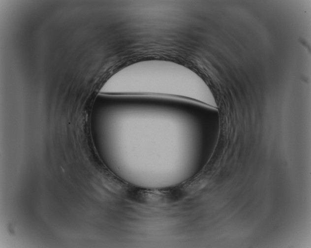 X0000092100229200709121116