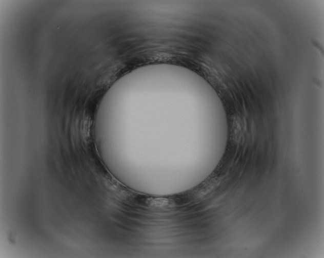 X0000092100230200709121116