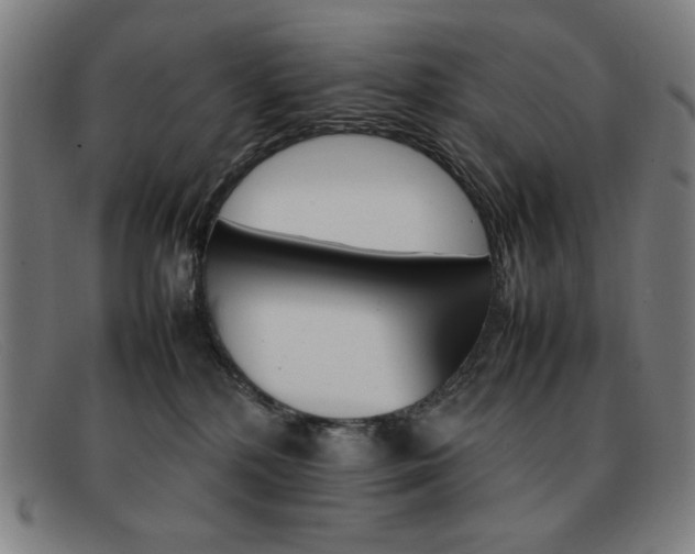 X0000092100232200709121116