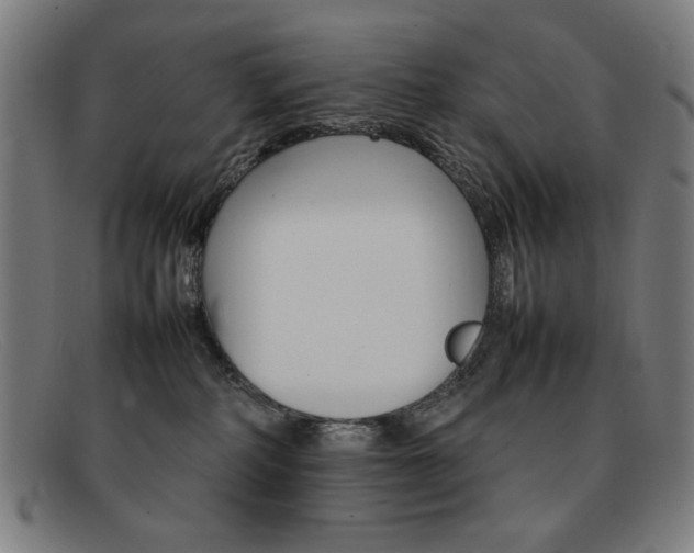 X0000092100234200709121116