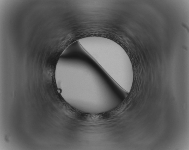 X0000092100235200709121116