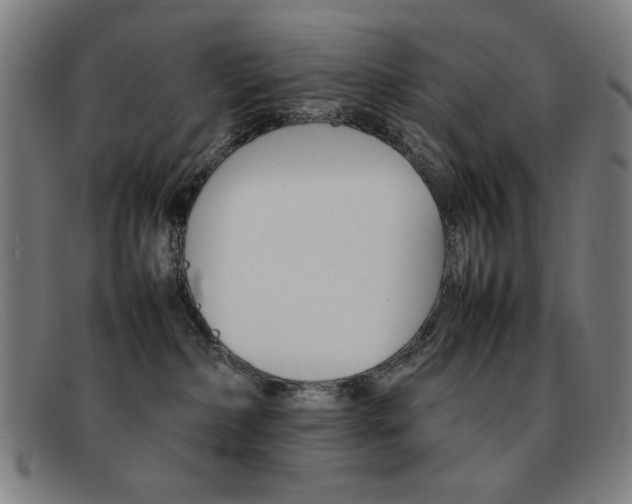 X0000092100236200709121116