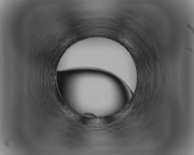X0000092100237200709121116