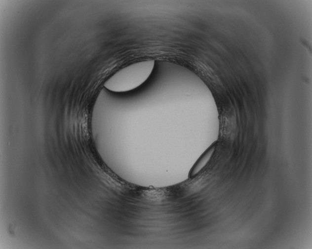 X0000092100238200709121116