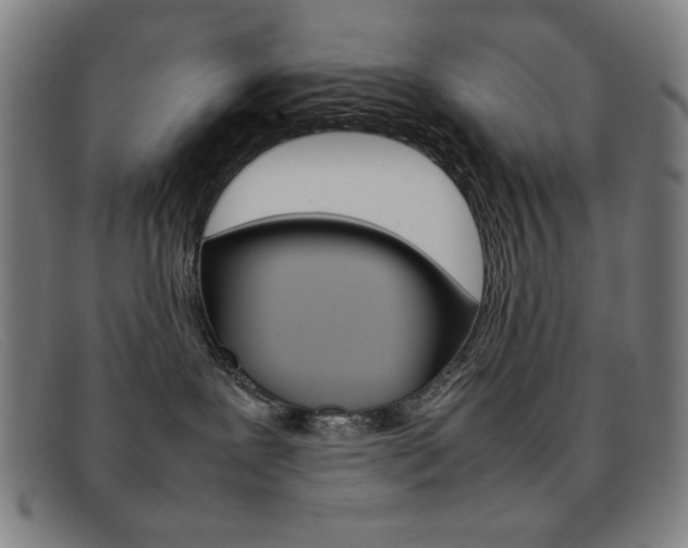 X0000092100239200709121116