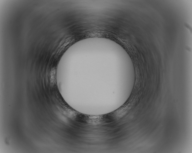 X0000092100240200709121116