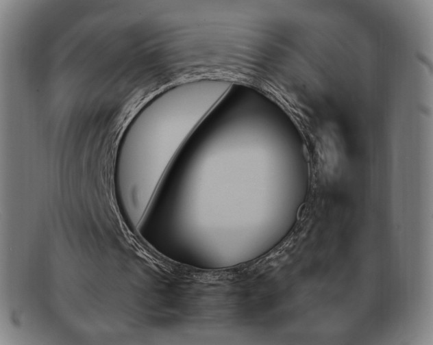 X0000092100241200709121115