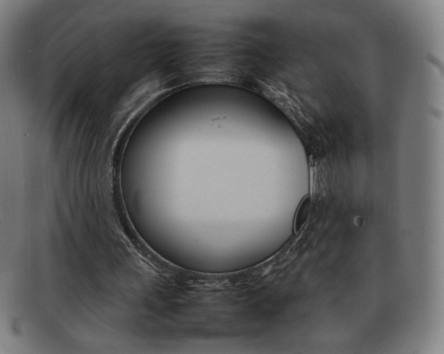 X0000092100243200709121115