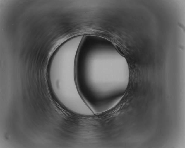 X0000092100244200709121115