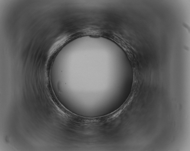 X0000092100245200709121115