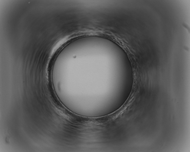 X0000092100246200709121115