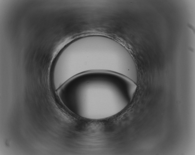 X0000092100248200709121115