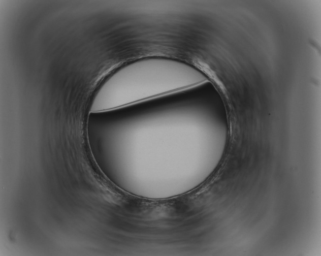 X0000092100249200709121115