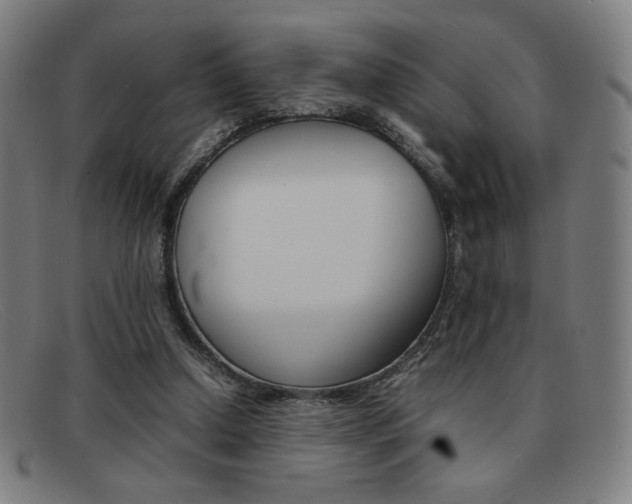 X0000092100250200709121115