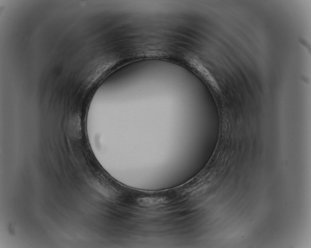 X0000092100251200709121115