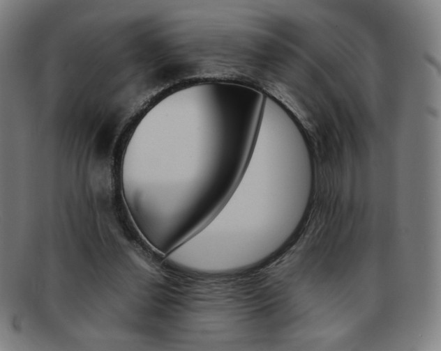 X0000092100252200709121115