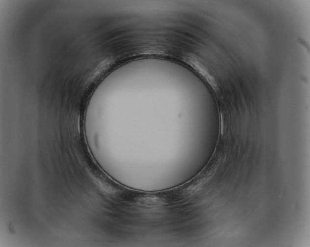 X0000092100253200709121115