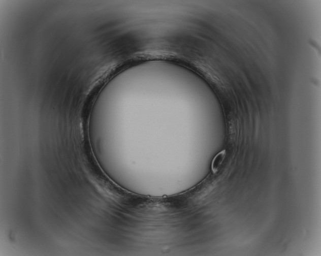 X0000092100254200709121115
