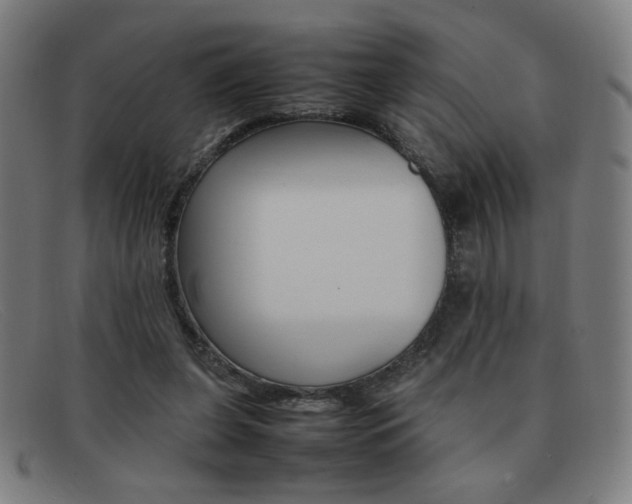 X0000092100255200709121115